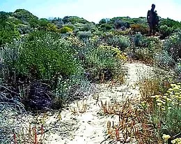 first fuck on Capobino nudist Beach in spain