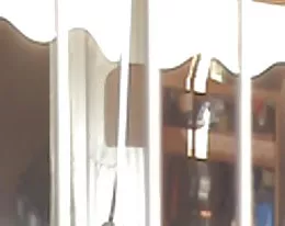 THIS IS MY NEIGHBOR 4