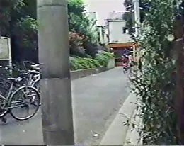 Japs In Public Nudity