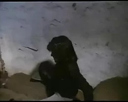 sex comedy vintage german in  movie  lass jucken kumpel 2