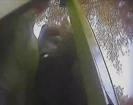 Voyeur beach cabin part 1