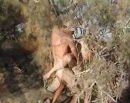 German Swinger Mature Fuck 3