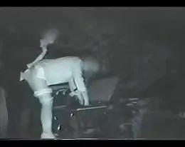 still more sex on THE bench