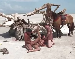 Alain Deloin, Titof, &amp; Druuna Diva DP BEACH ((Cochinadas))