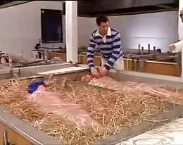 German Clone Farm... F70