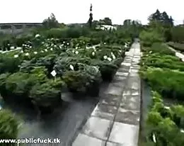 Young German Teen In Public Anal Fucked