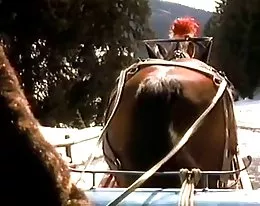 Burning Snow ...(Vintage Movie) F70