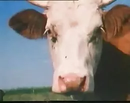 vintage 70s german - Schulmaedchenporno II - Hurra, die Moese brennt - cc79