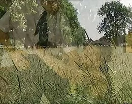 Cindy und der Doppeldecker