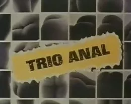 vintage 70s german - Trio Anal - cc79