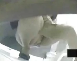 My Favorite Toilet Japanese Masturbation 2of3