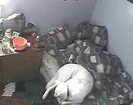 Amateur Hidden Cam 4