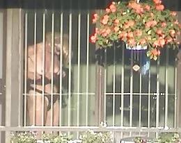 Window Peeping on Neighbor