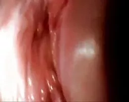Sex is seen inside the vagina. very cool