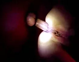 Gloryhole Filth Extended Cut