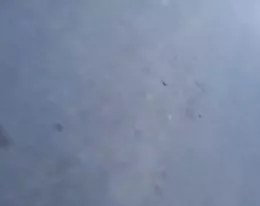 Amazing booty in bus stop