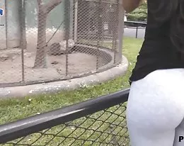 Round Ass Teen Flashing. Cameltoe, Thong, Ass.