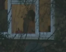 Window Voyeur