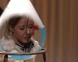 Prof. F. Stein     Ich baue mir meine Traumfrau 2006