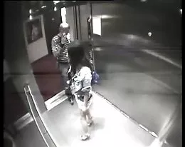 Catfight-Club sex in elevator