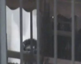 THIS IS MY NEIGHBOR 6