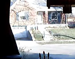 in front window nieghbor watching