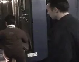 Sophia a mature ins stockings analfucked in a train