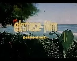 vintage 70s german - Palmen, Meer und nasse Grotten (feature) - cc79