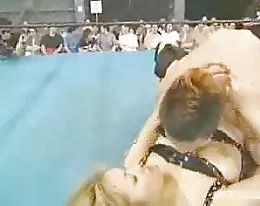 Japan Adult Video Federation