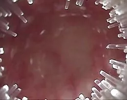 japanese girl with cam in ass...BMW